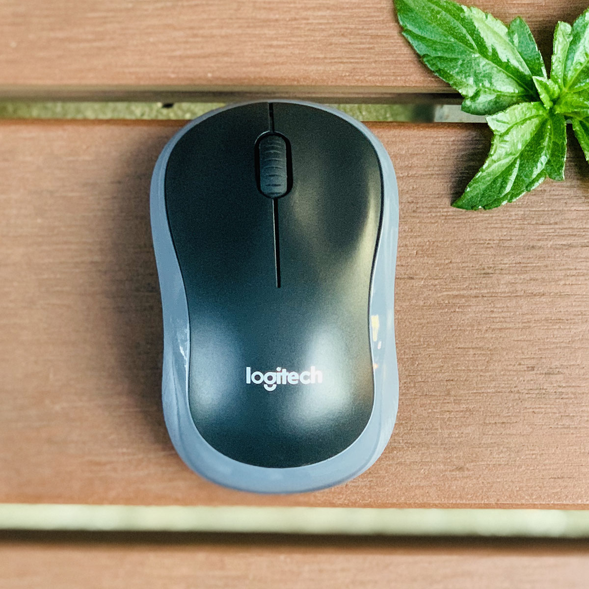 [HCM][ Siêu Sale ] Mouse Chuột Không Dây M186 - Jusa Tặng Pin