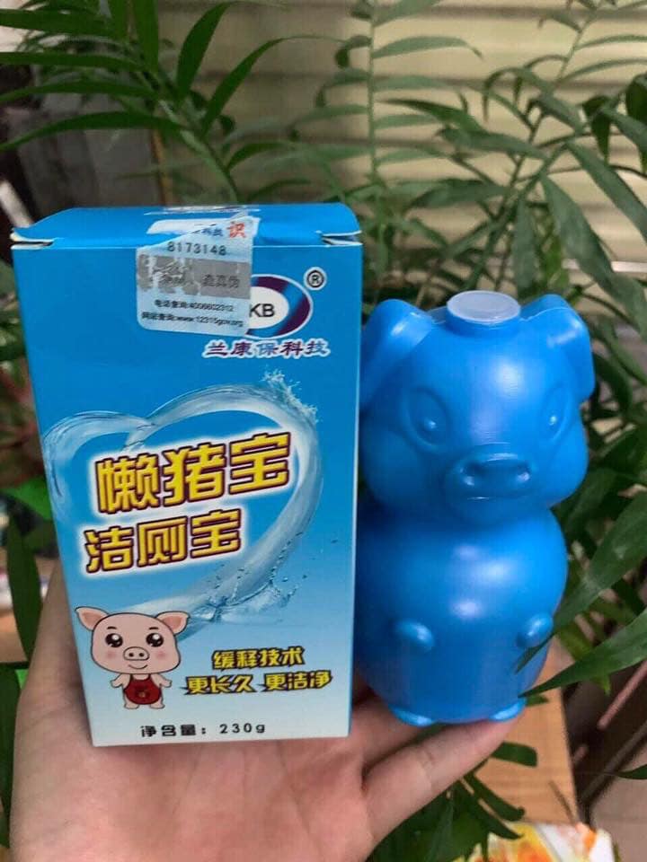 Lợn thả bồn cầu