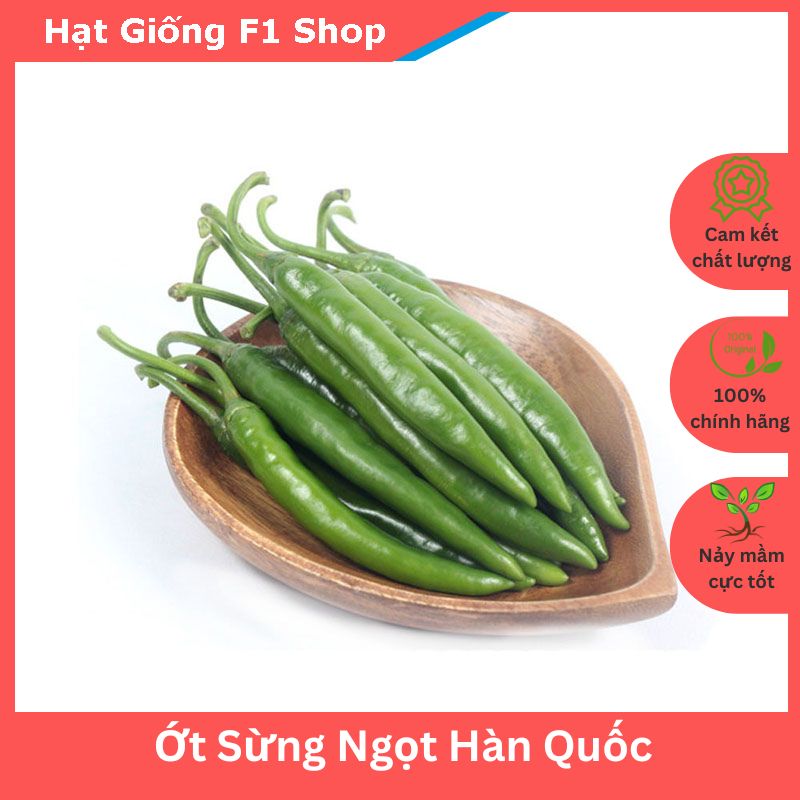 Hạt giống ớt sừng ngọt hàn quốc trái dài