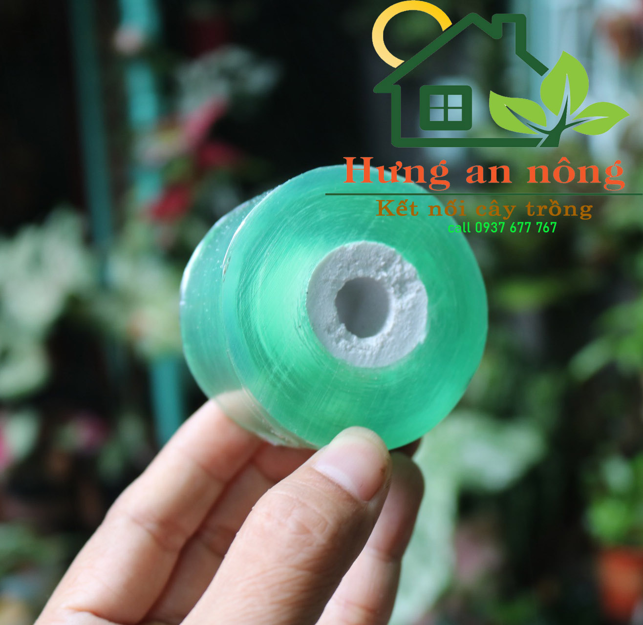 Băng keo trong bản 3cm ghép cành tự dính chất liệu nhựa PE