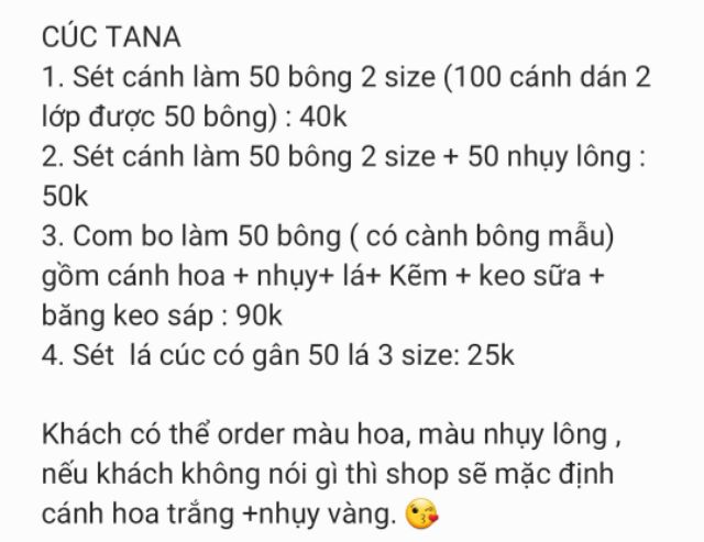 Hoa giấy cúc Tana (có nhiều lựa chọn)