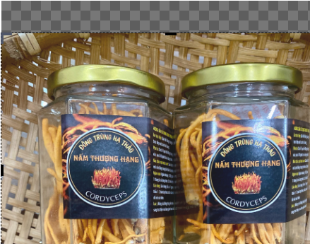 Đông Trùng Hạ Thảo