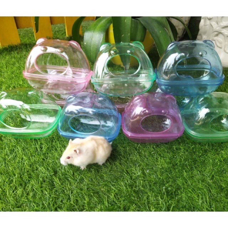 Nhà Tắm Ếch Nhỏ cho Hamster