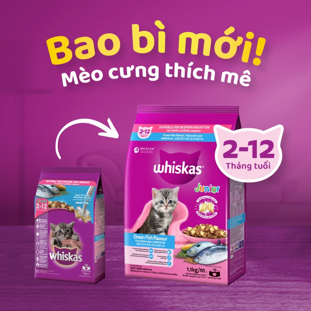 Thức Ăn Hạt Whiskas Cho Mèo Con - Whiskas Junior - [Nông Trại Thú Cưng]