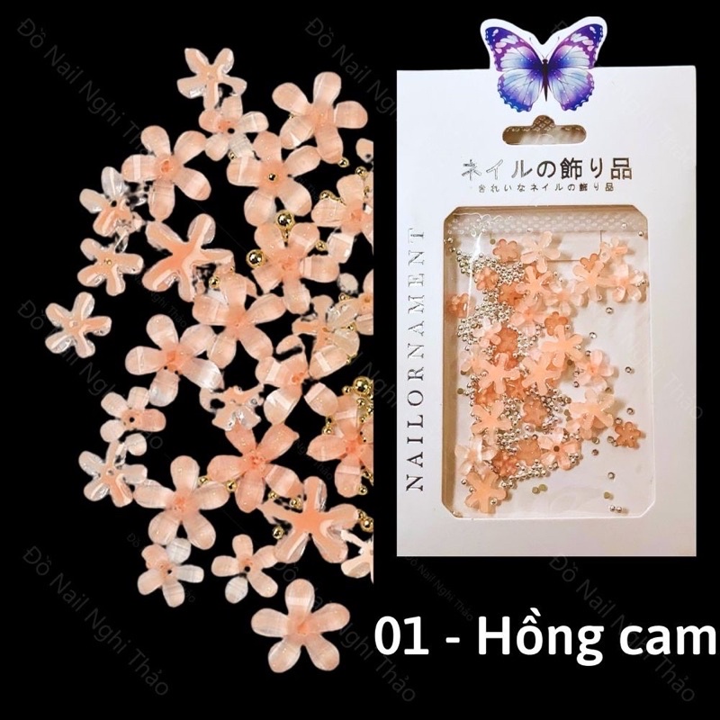 Cham hoa mai đính móng mẫu mới siêu HOT 2023