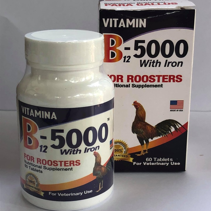 [HCM]B12 5000 GIUP GÀ LEN NUOC MAU - HỦ 60 VIÊN