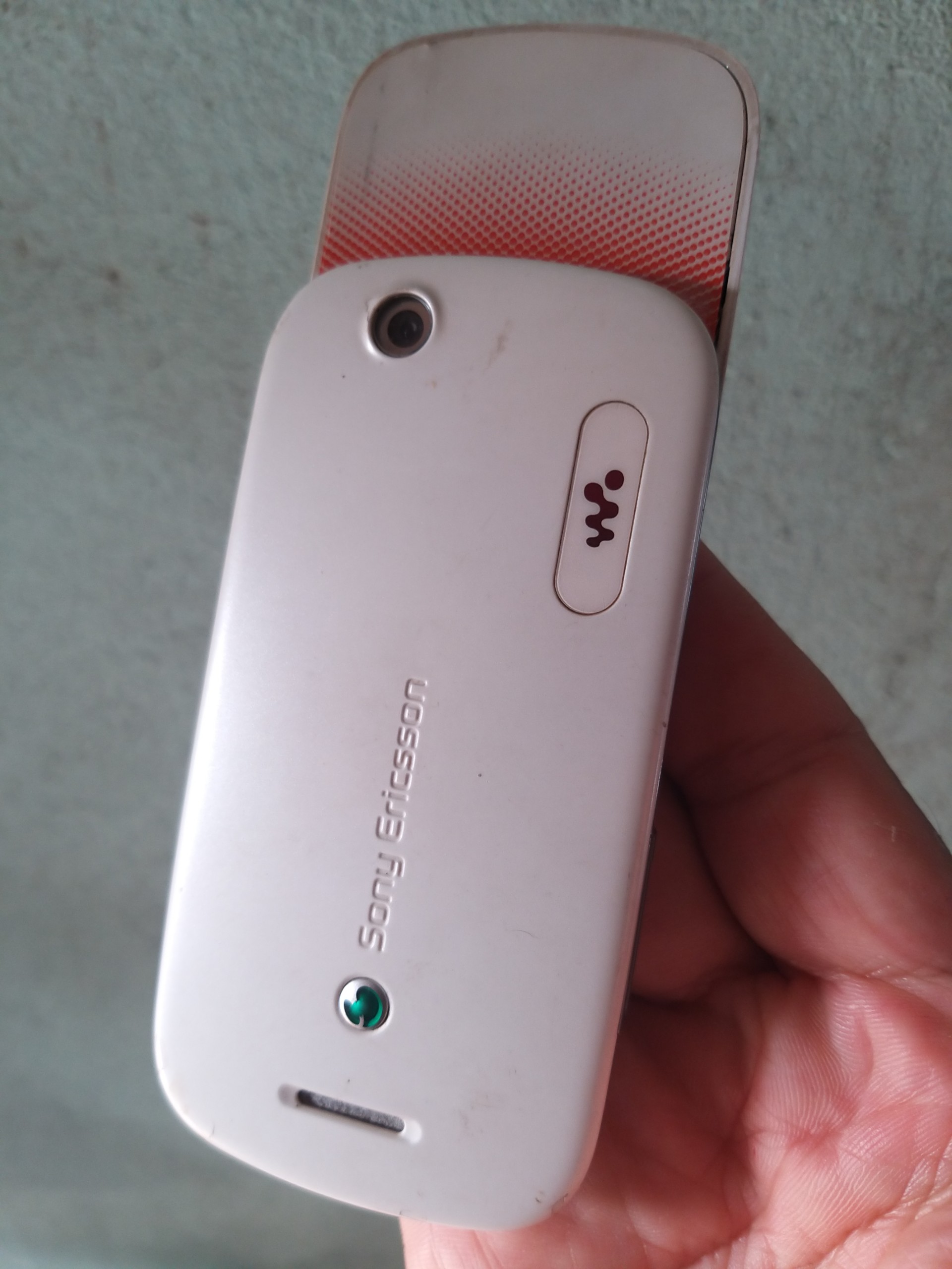 Sony Ericsson W20