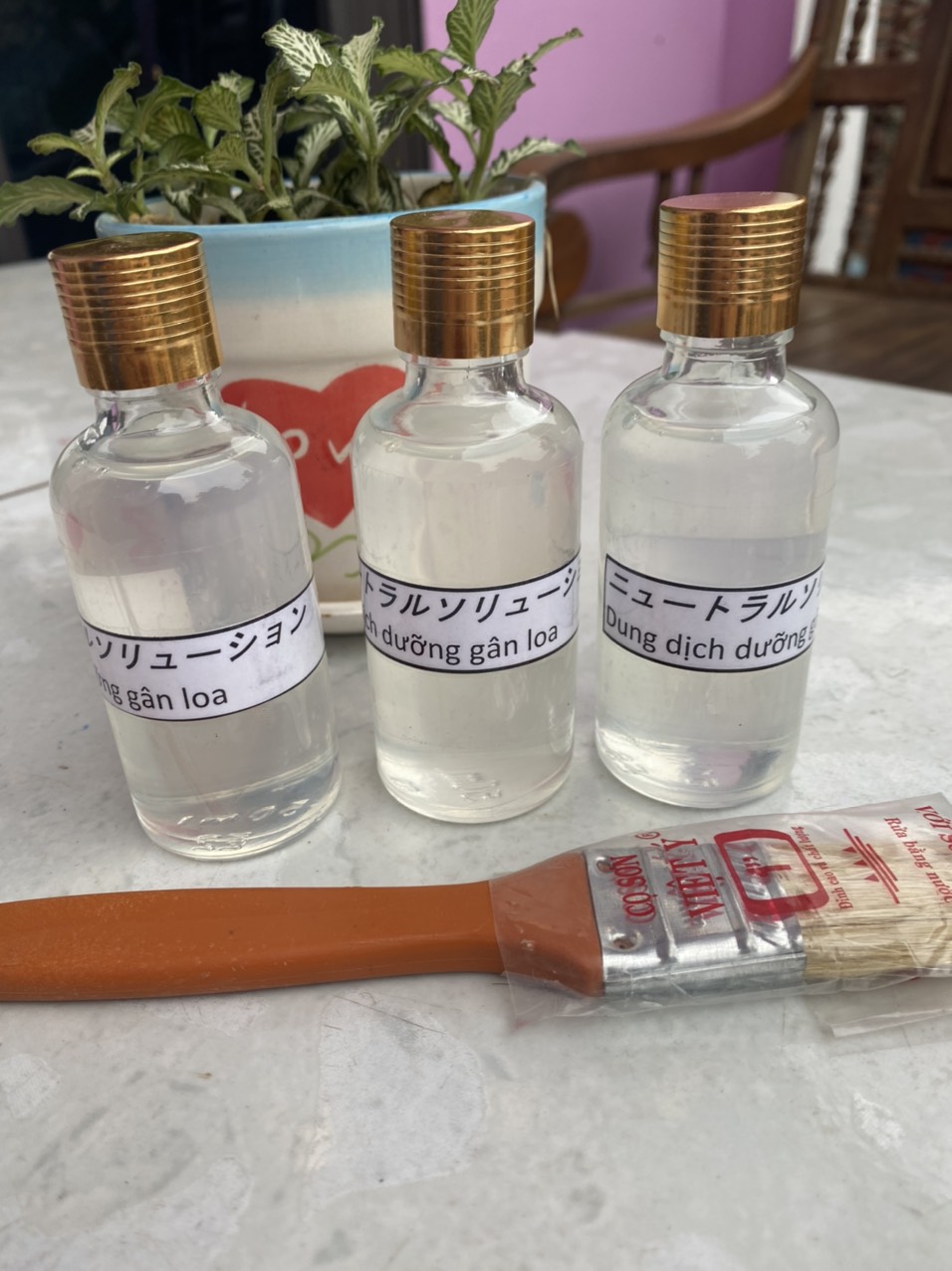 Keo dưỡng gân loa nhật bản, dung dịch dưỡng gân loa, dầu dưỡng gân loa - giá 1 chai 60ml-tặng kèm chuổi quét
