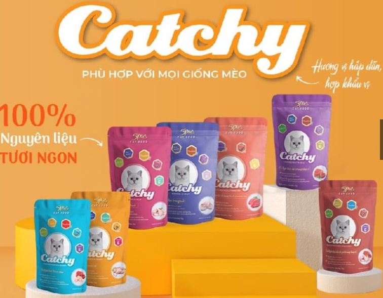 Thức ăn ướt cho mèo 5Plus Catchy gói 70g