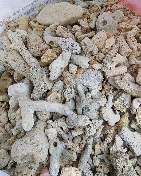 san hô vụn lọc nước bể cá 1kg