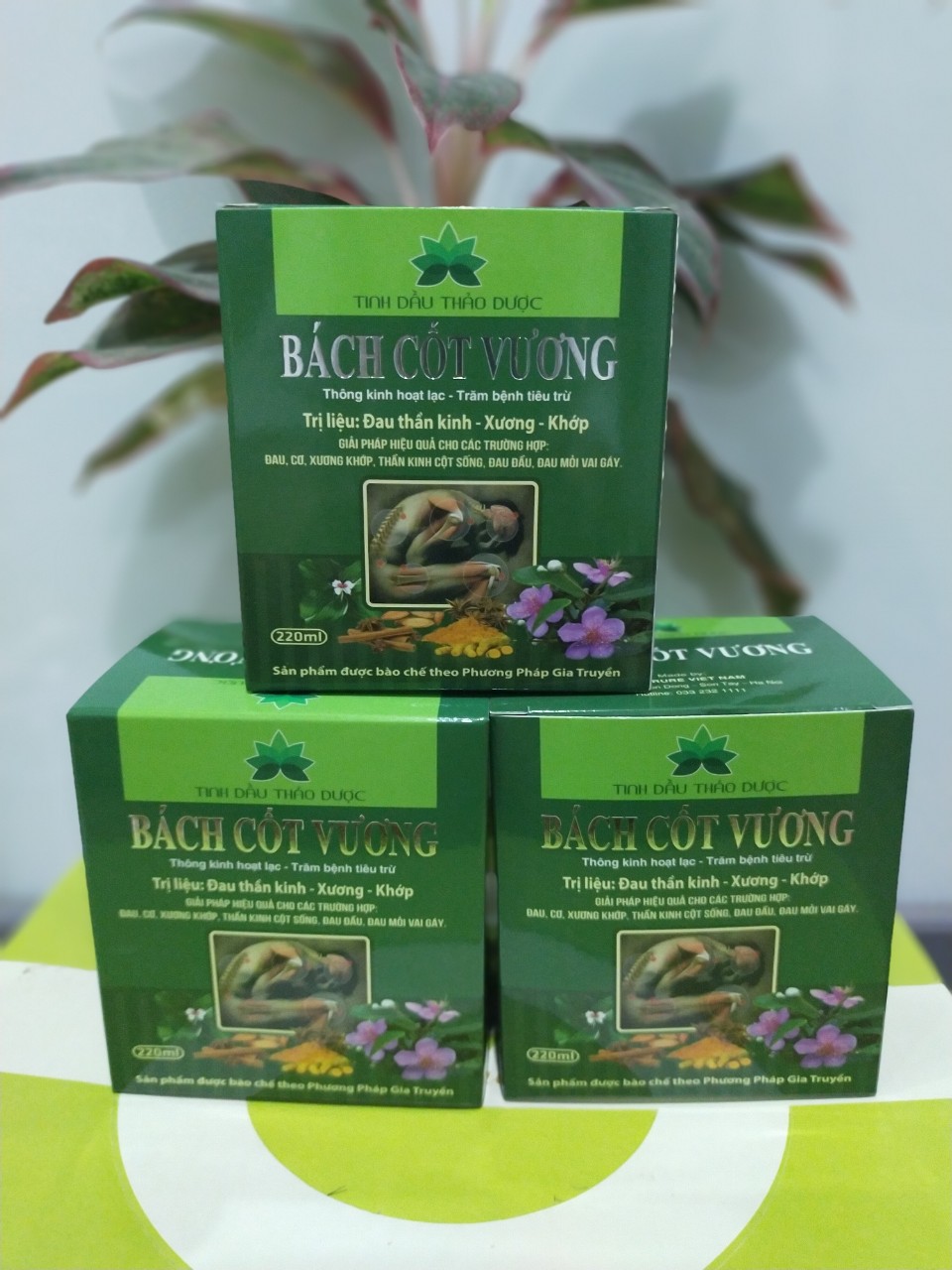 Tinh dầu xoa bóp Bách Cốt Vương