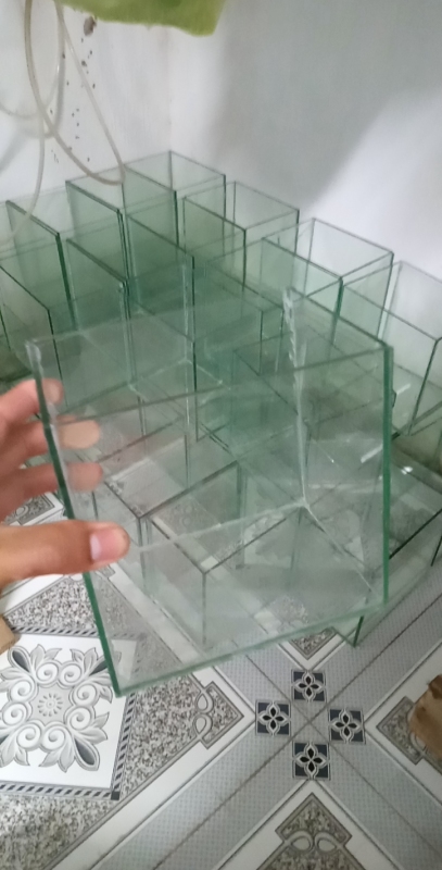 Keo cá betta