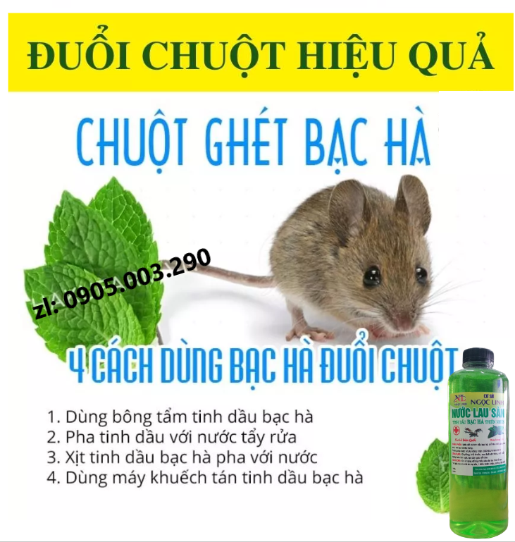 2000ml (2 lít) nước lau sàn tinh dầu bạc hà