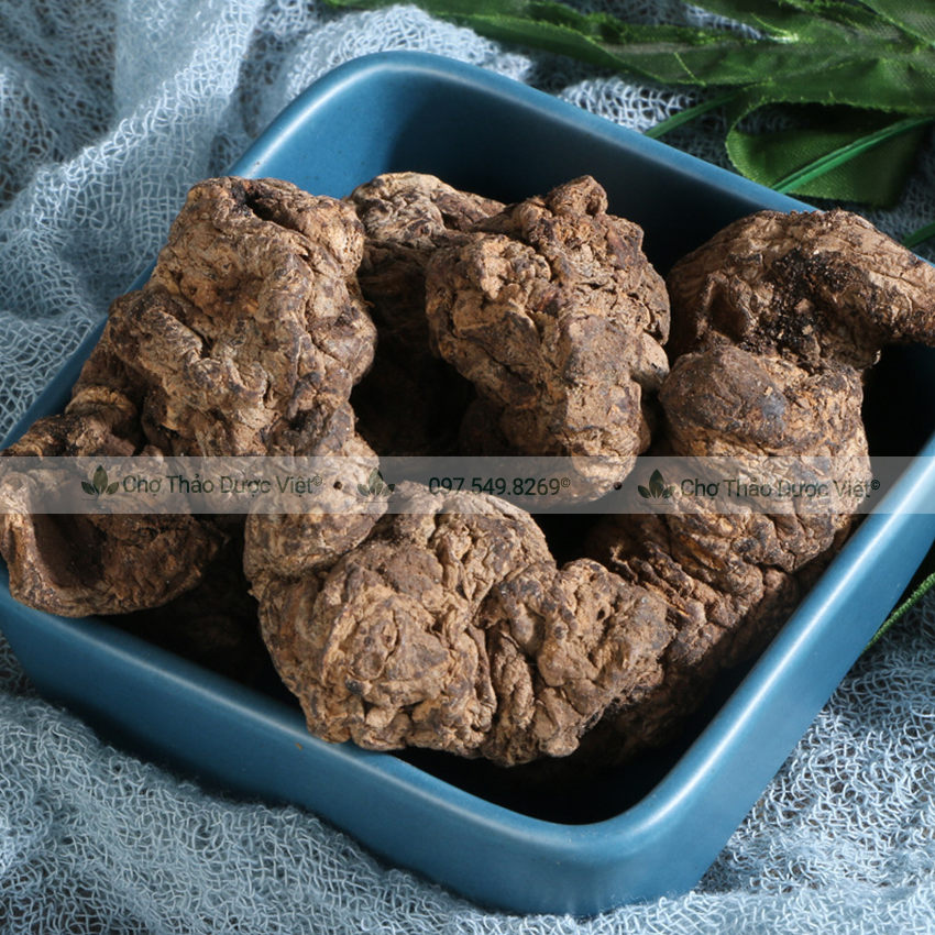 Sinh địa khô 500g, củ sanh địa to, khô, sạch - Chợ Thảo Dược Việt