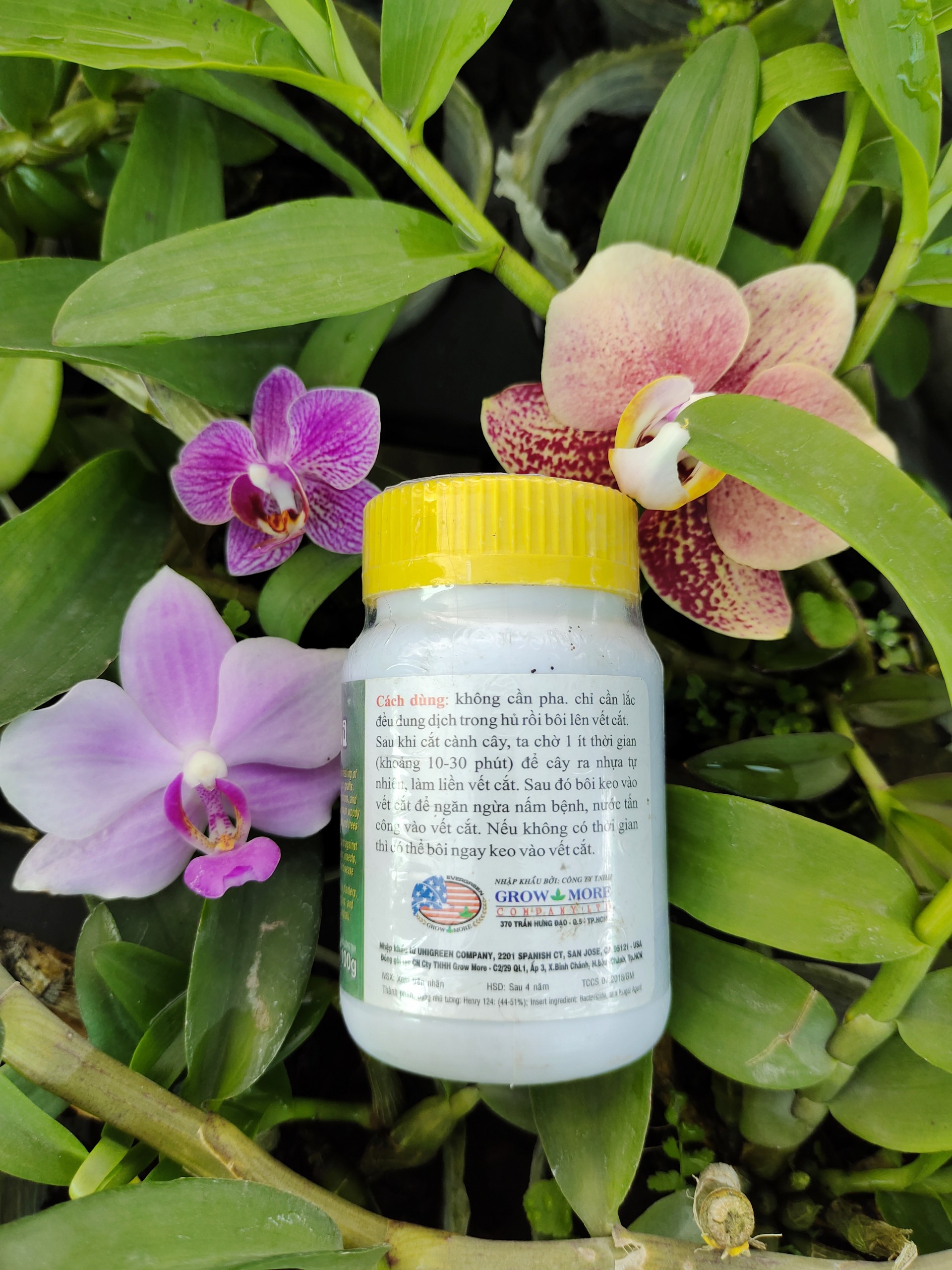Keo Liền Da Cây Tree Seal - Keo Liền Sẹo Mỹ