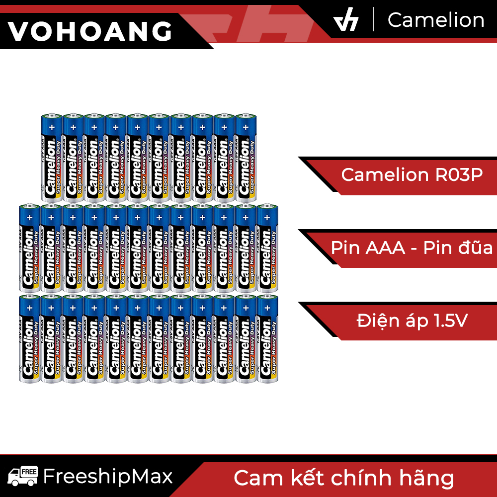 34 pin AAA Camelion R03P