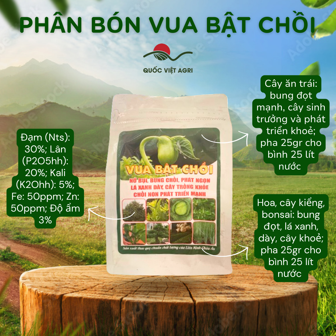 Phân bón lá - vua bật chồi - 500g
