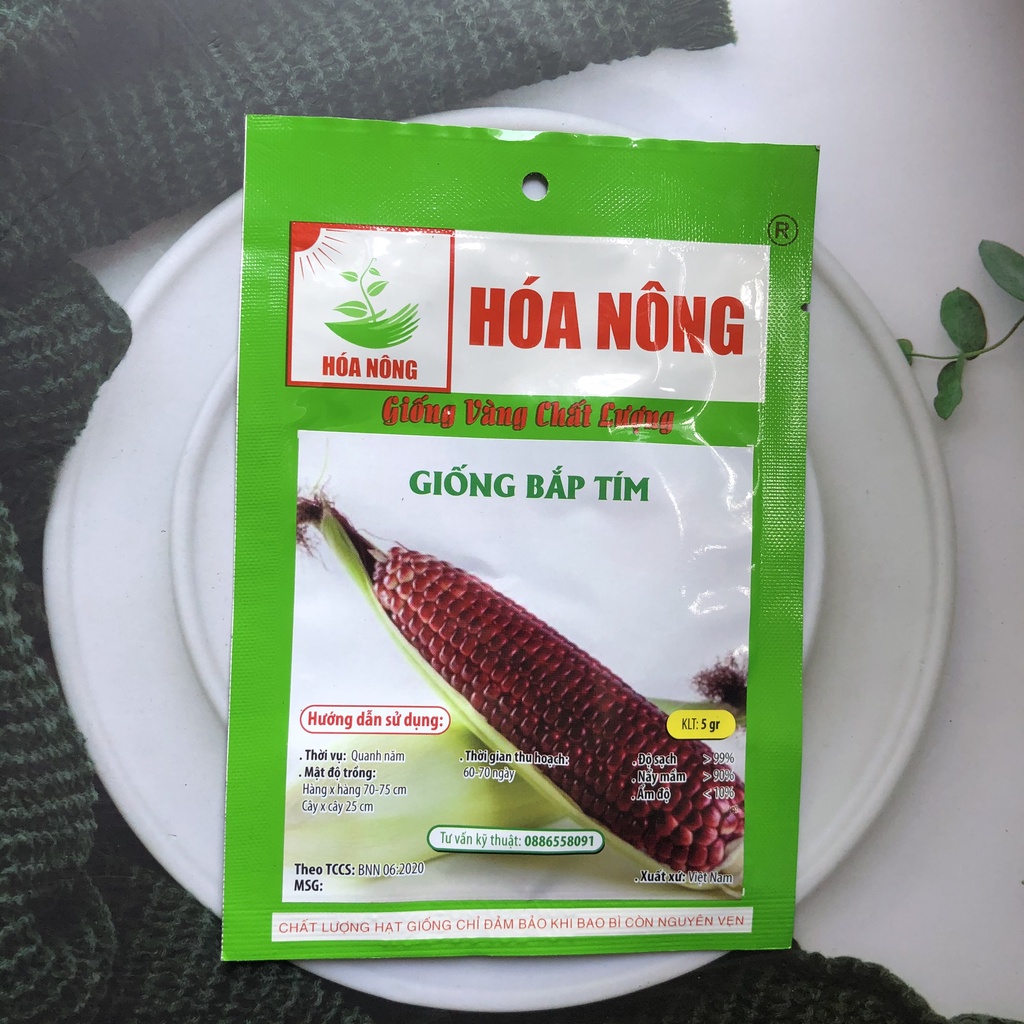 Hạt giống ngô tím, bắp tím 5gr