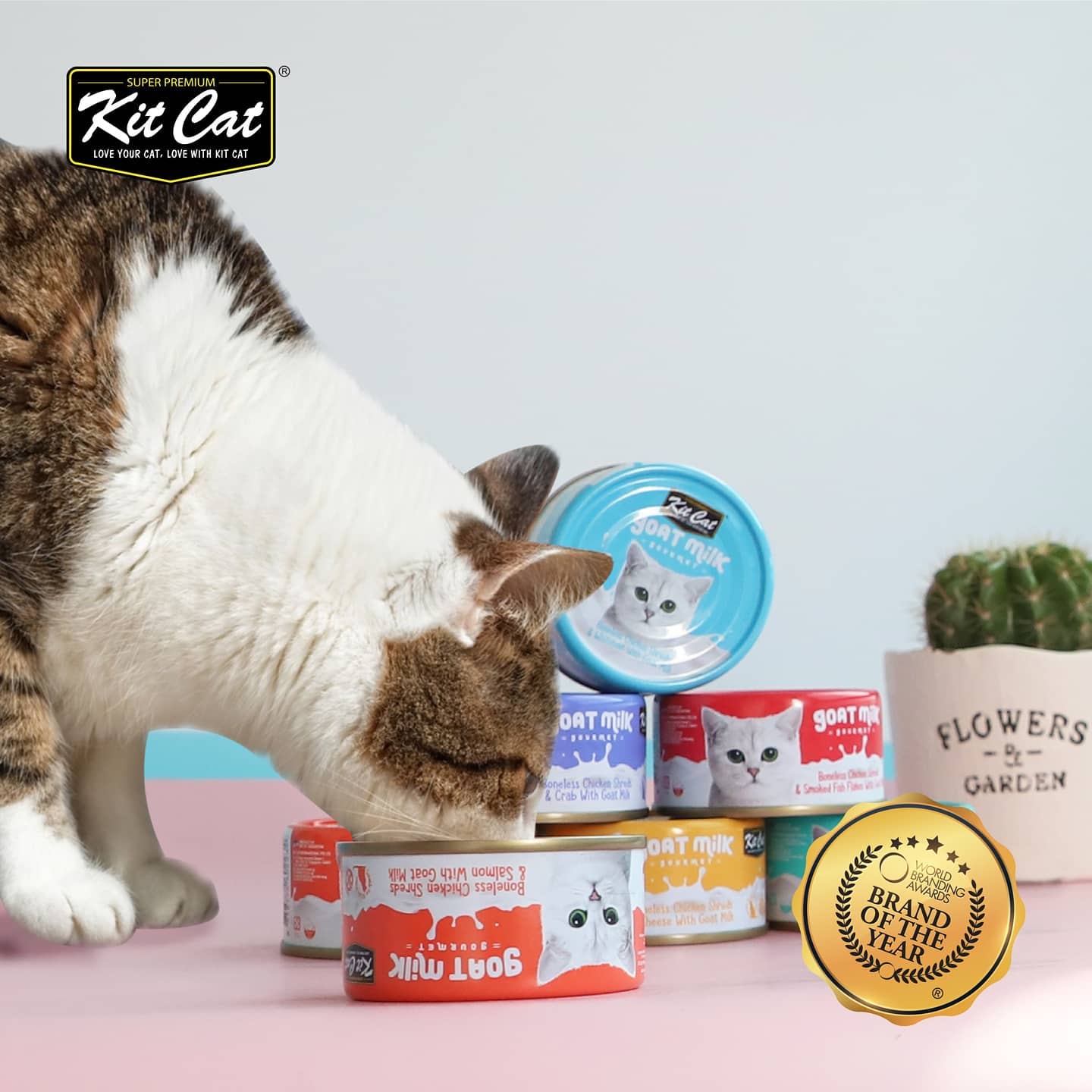 Pate Kit Cat sữa dê cho mèo 70g