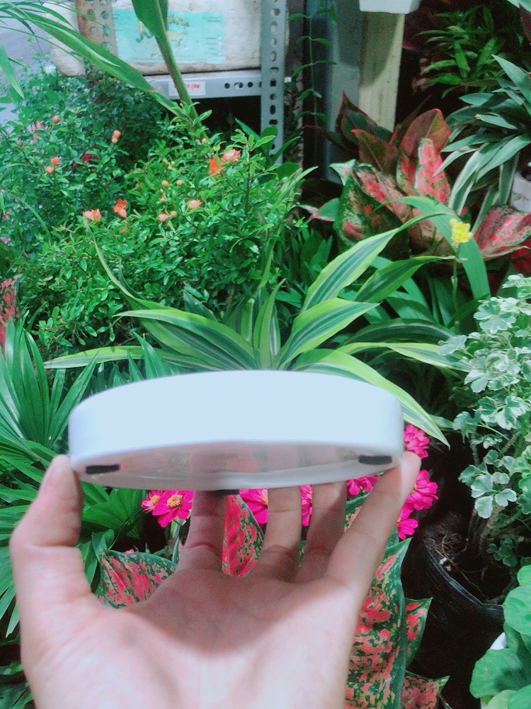 Đĩa Lót Chậu (đường kính 12cm)