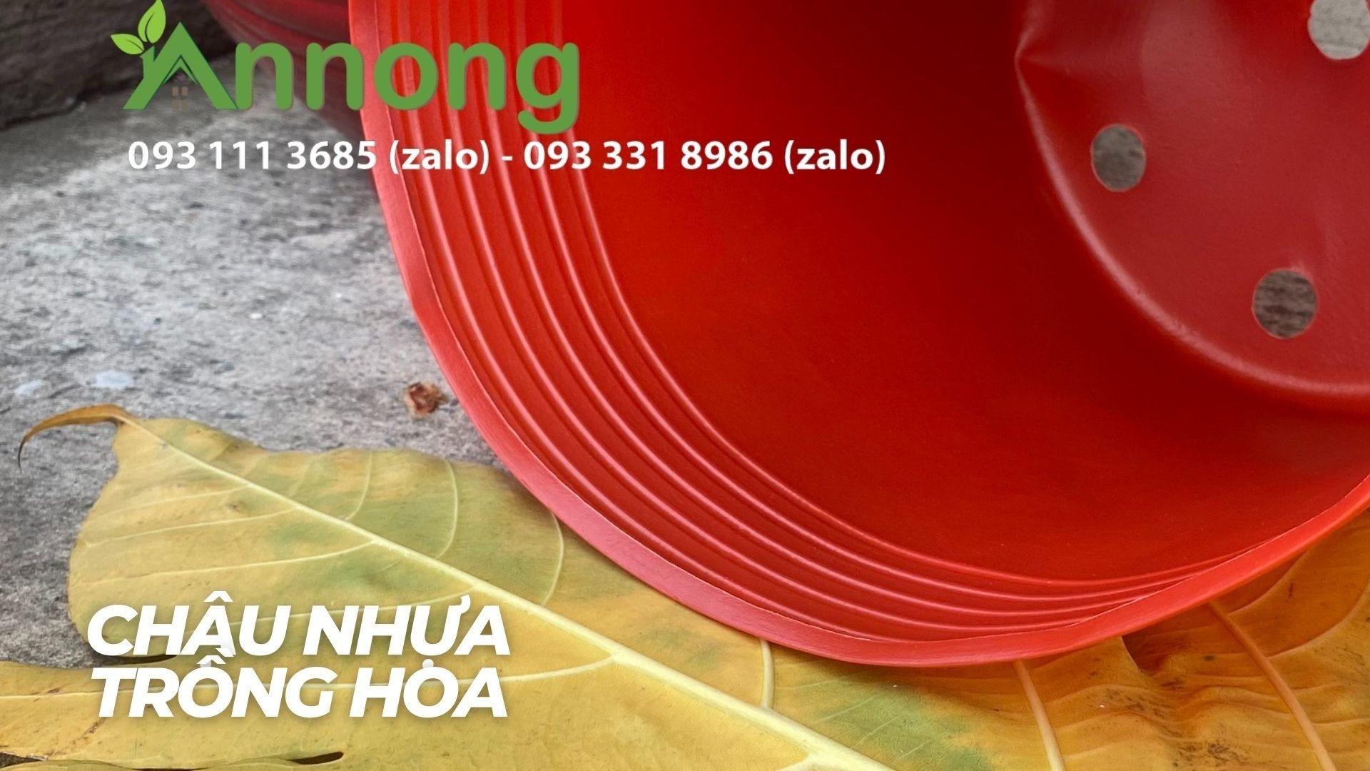 Combo 10 Chậu Nhựa Trồng Cây C8 -> C16 Đen - Đỏ