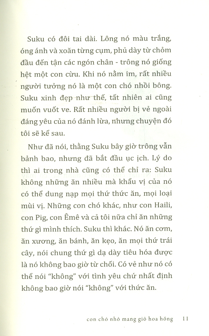 Con Chó Nhỏ Mang Giỏ Hoa Hồng (Truyện)