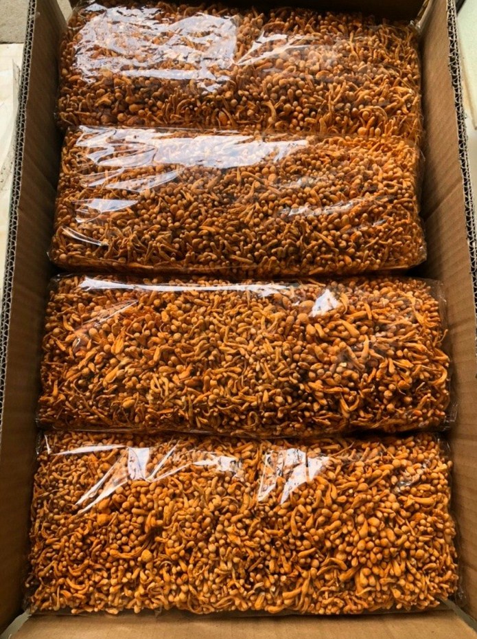 (1KG) ĐÔNG TRÙNG HẠ THẢO SẤY KHÔ (loại xếp ngang vip)