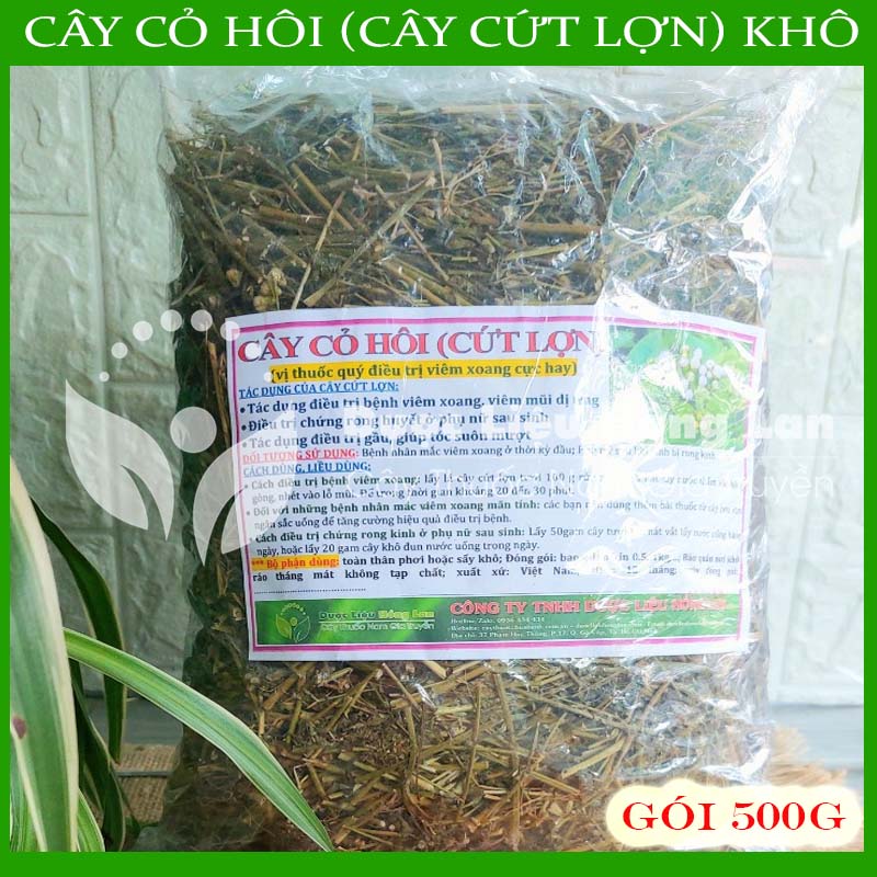 Dược liệu cây cỏ hôi khô sạch đóng gói 500gram