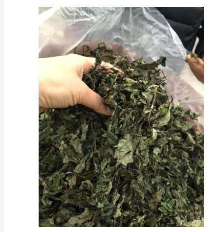 500gr lá đắng khô tốt cho dạ dày