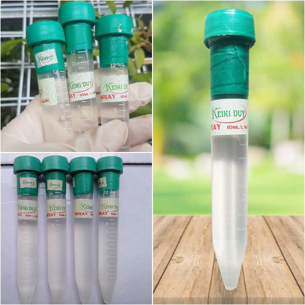 Combo 3 lọ duy xanh