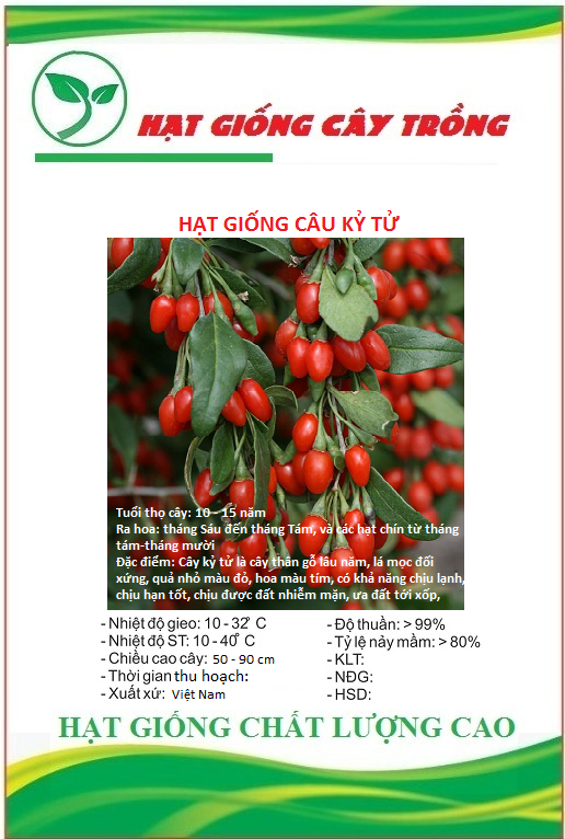 Hạt giống quả câu kỷ tử - gojiberry ct368 - gói 50 hạt