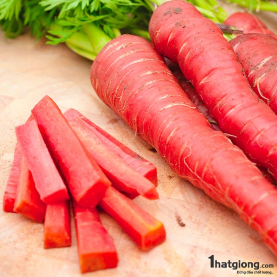 Hạt giống cà rốt đỏ RED CAROT - Gói 5gr