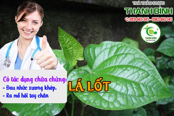 Lá lốt khô 100g hàng cty đảm bảo chất lượng - dược liệu thanh bình