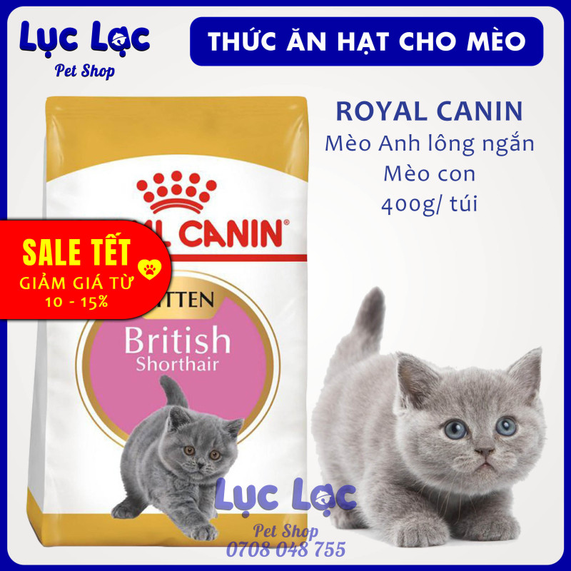 [SALE TẾT] Thức ăn hạt cho Mèo Anh lông ngắn (Mèo con & Mèo trưởng thành)| Royal Canin 400g/ túi