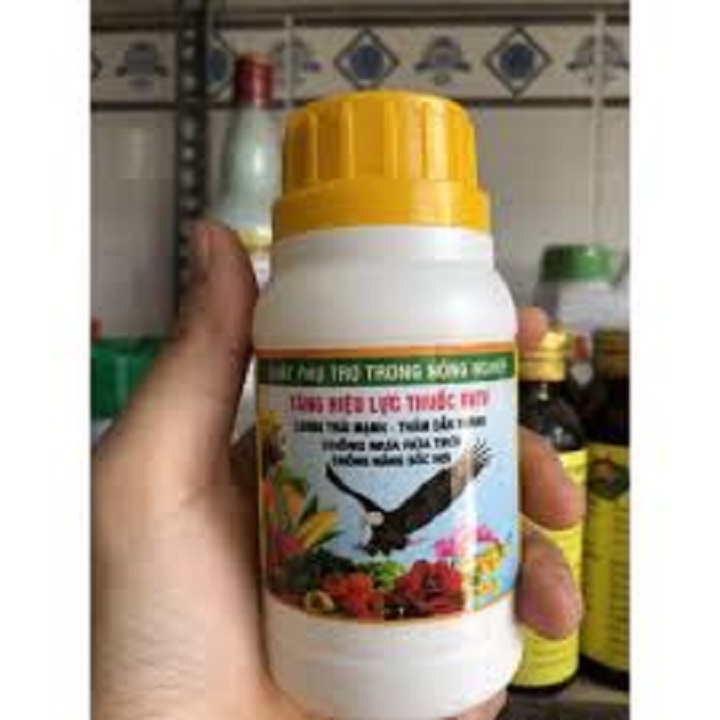 Chất Lưu Dẫn Đại Bàng