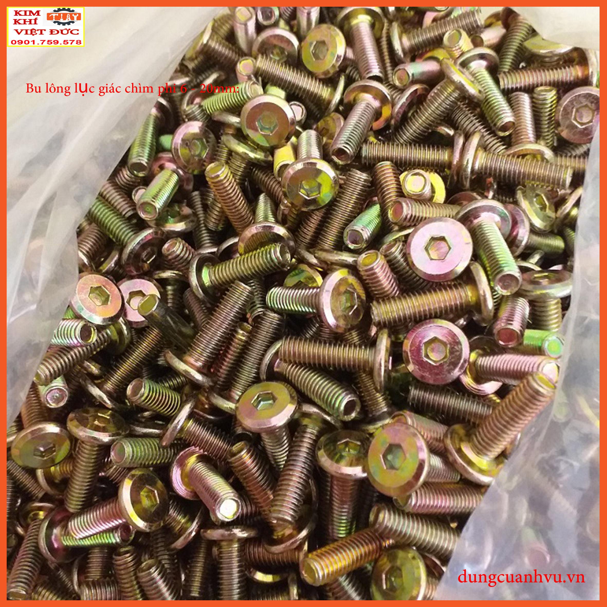 Bu lông lục giác chìm 6-20mm x 100 con