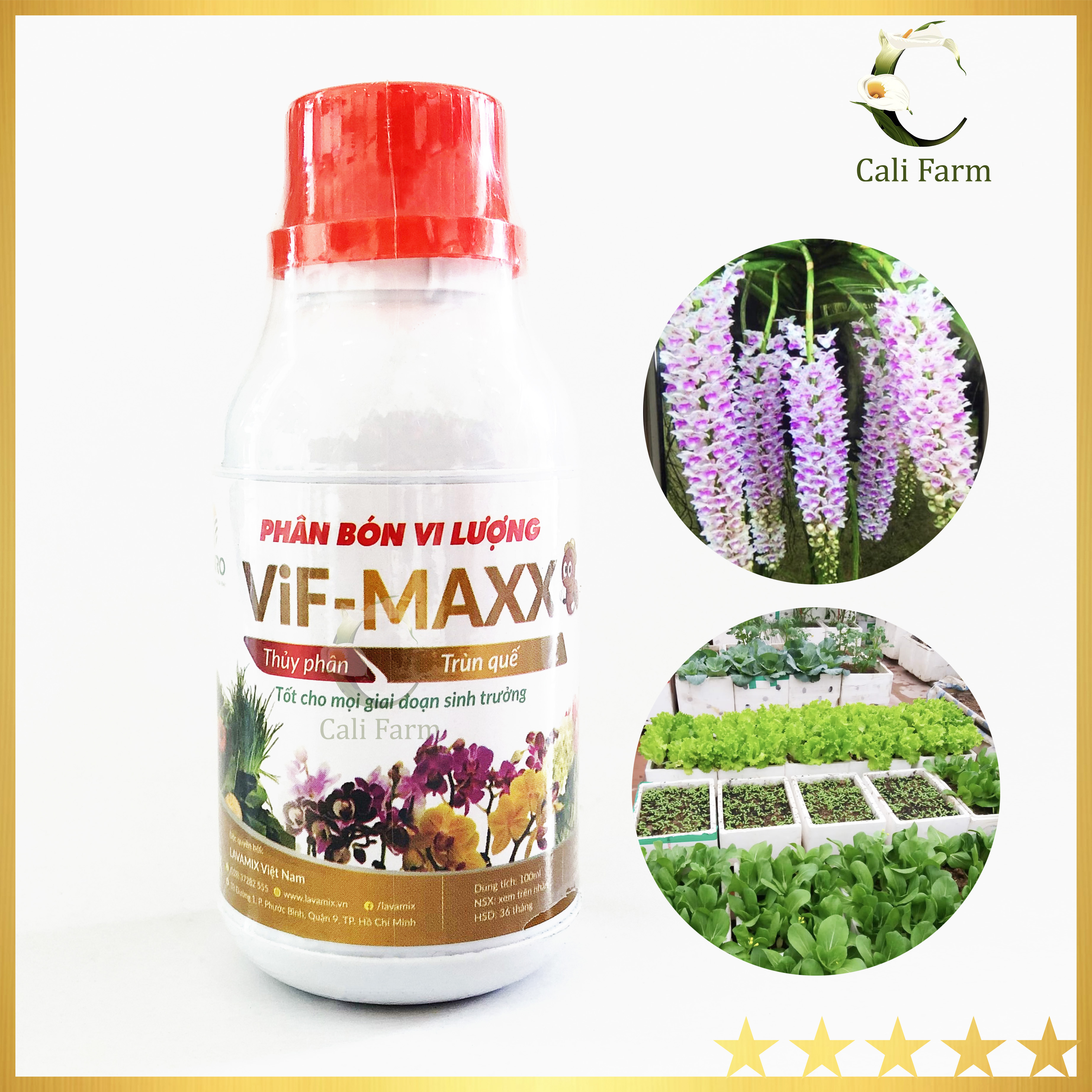 Phân Trùn Quế dạng nước VIF-MAXX 100ml