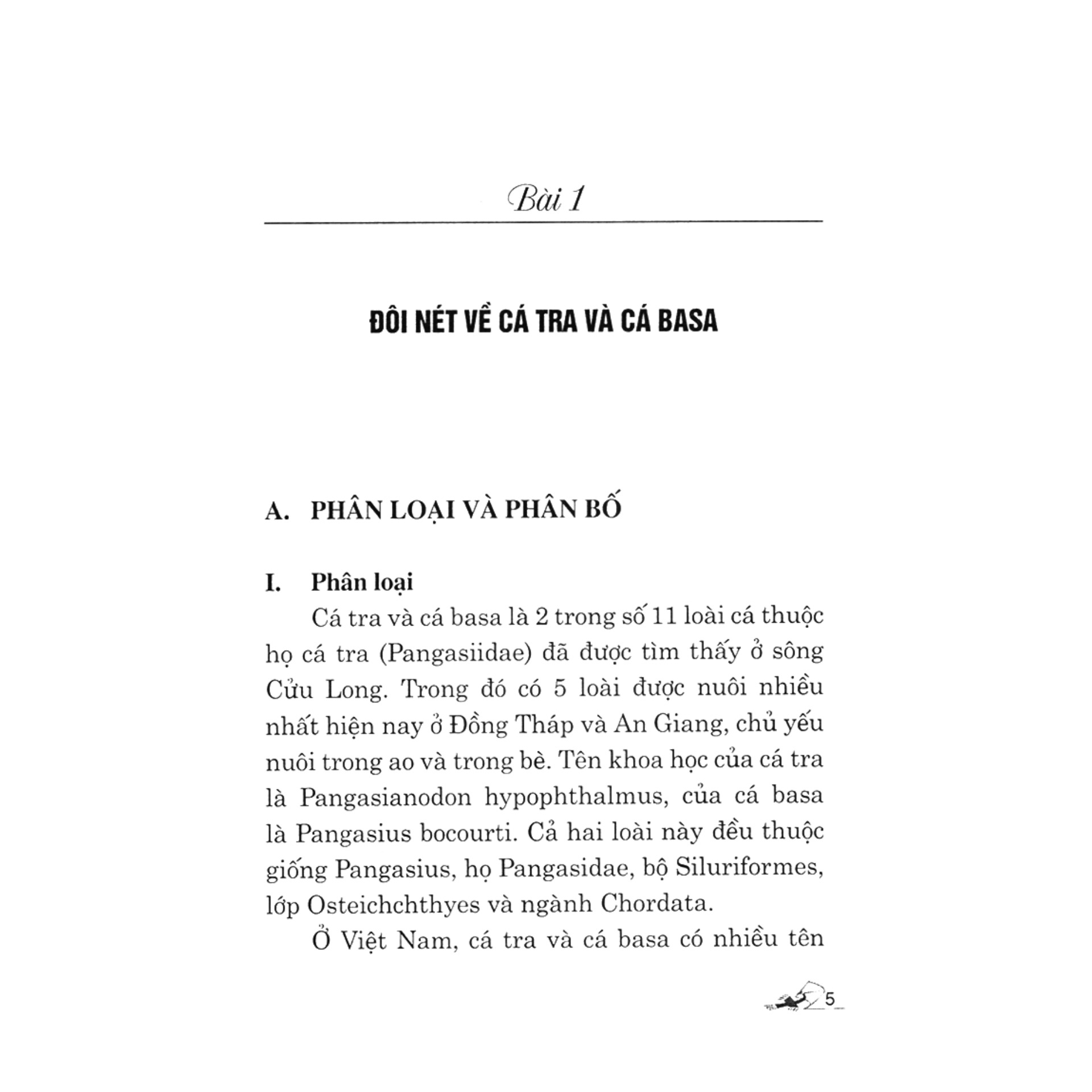 Kỹ Thuật Nuôi Cá Tra Và Cá Basa Trong Bè