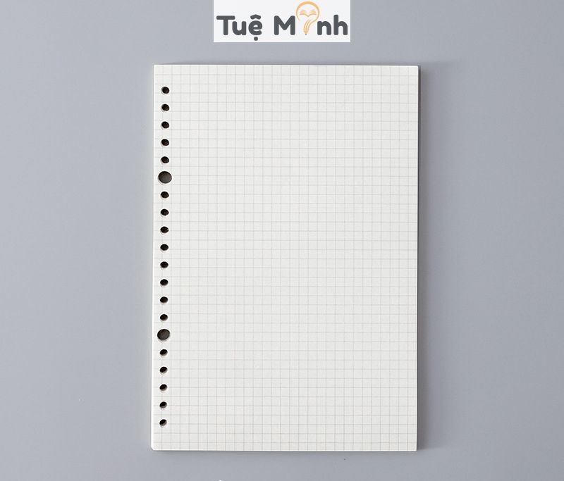 Giấy ruột sổ còng A5 20 chấu 120 trang caro/ kẻ ngang P14 refill vở binder