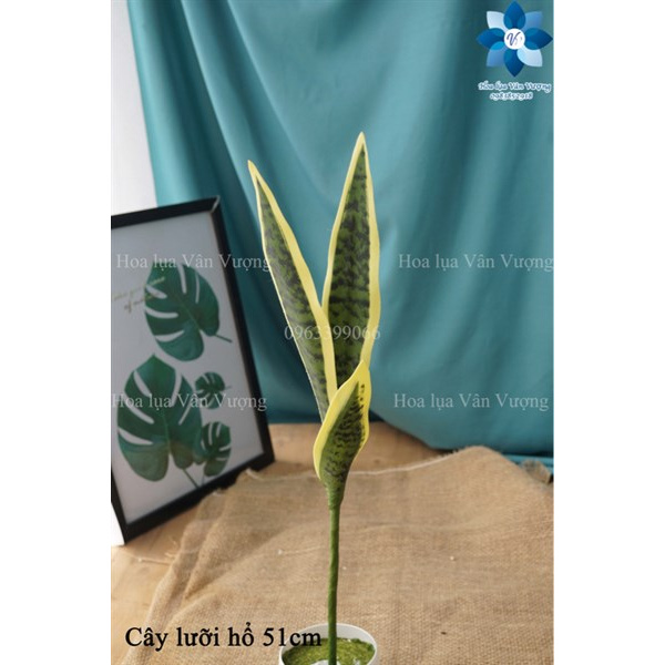 Cây Giả Cây Lưỡi Hổ Cao Su