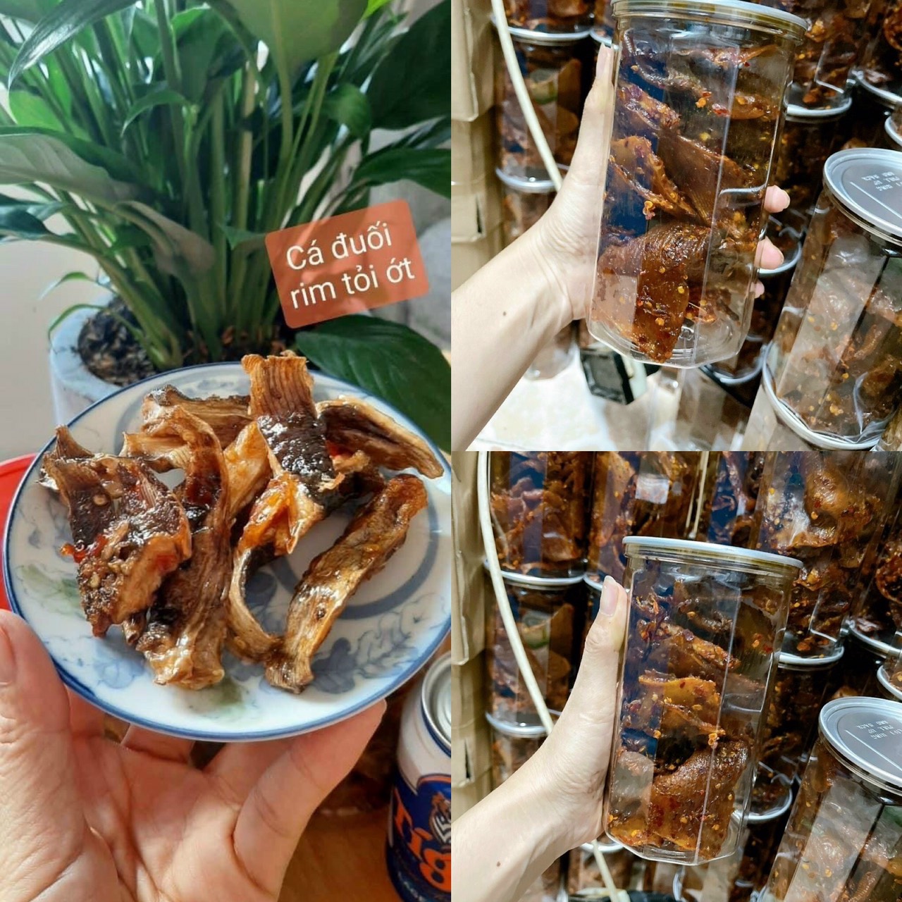 Cá đuối rim ớt