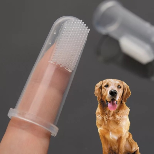Dụng cụ đánh răng làm sạch miệng thú cưng - Channsusu Pet Shop