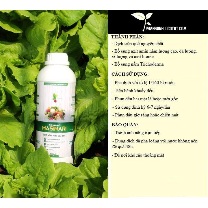 Dịch trùn quế Masinari chai 250 ml