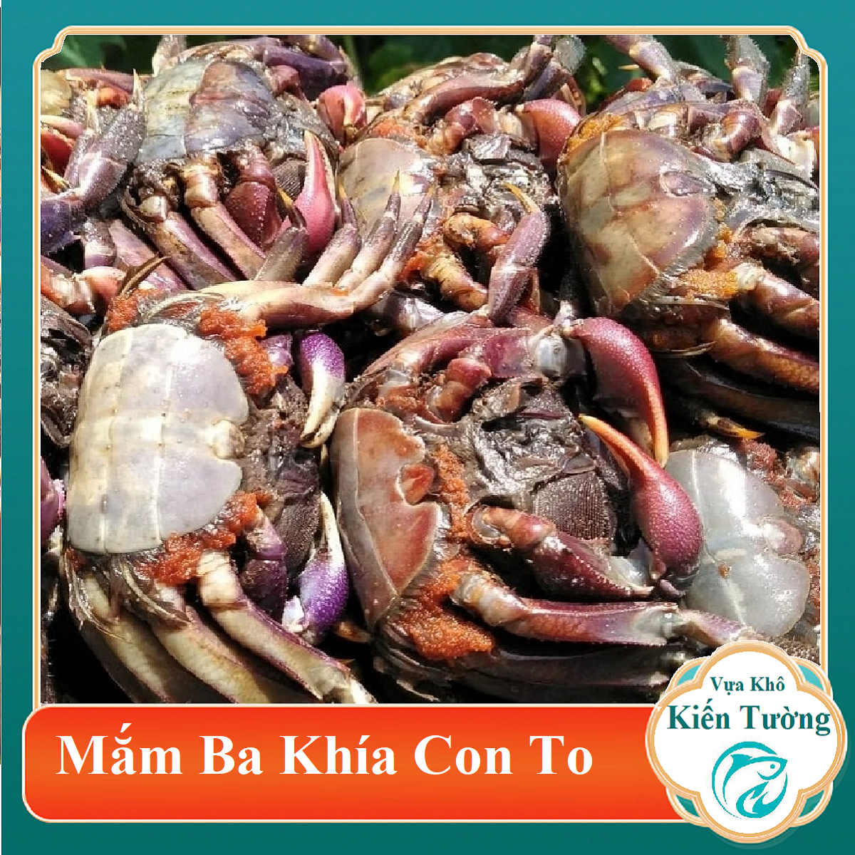 (Từ 15-17.6 quà tặng cho toàn gian)0.5KG MẮM BA KHÍA NGUYÊN CON ĐẶC SẢN RẠCH GỐC BẠC LIÊU-Vựa Khô Kiến Tường