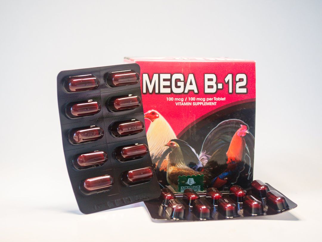 MEGA B12 - Tăng nước máu cho gà dạng viên