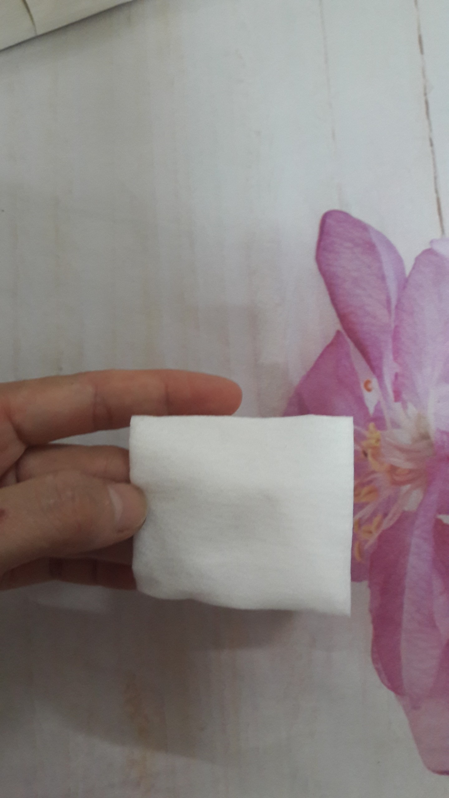 BÔNG LAU MỰC CẮT SẴN 1 LỚP (1600MIẾNG)