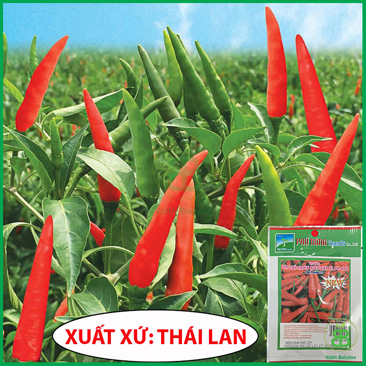 Hạt Giống Ớt Chỉ Thiên Siêu Cay