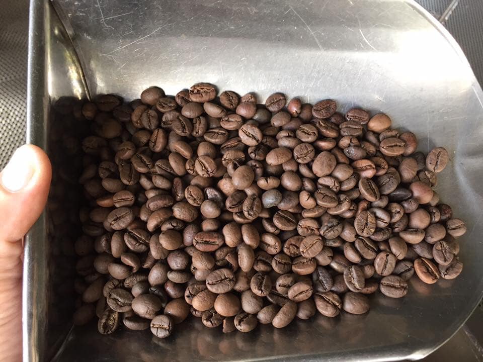 5KG Cà phê ROBUSTA hạt / bột Mộc Nguyên Chất Đăk Lăk - Cà phê rang xay mộc pha phin/pha máy