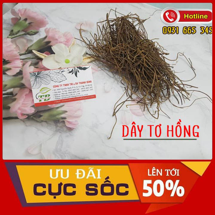 Dây Tơ Hồng Khô Loại Đặc Biệt 500G - Đông Y Thanh Bình