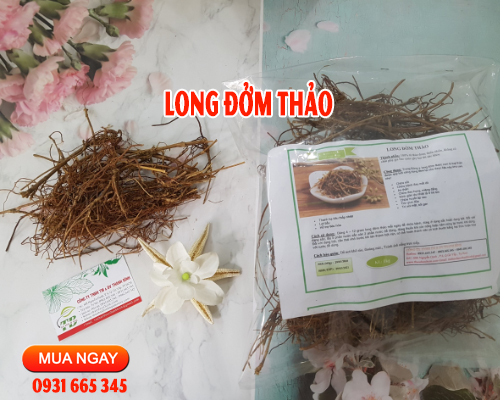 Long Đởm Thảo ( Long Đờm Thảo ) Khô 100G - Đông Y Thanh Bình